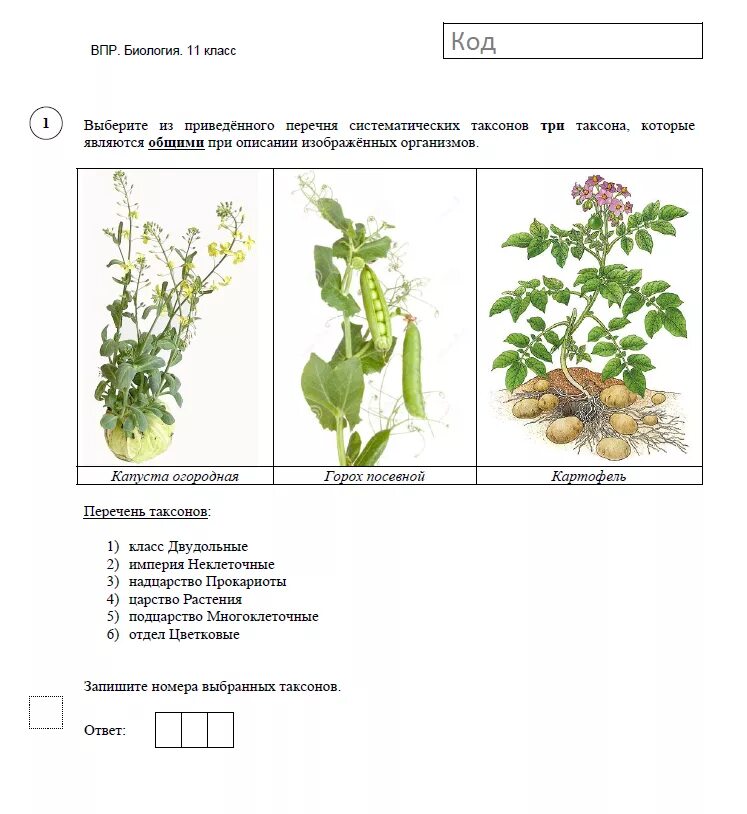 Решу впр 7 класс биология линейный курс. ВПР биология. Растения ВПР. Задание по ВПР по биологии. ВПР по биологии класс.