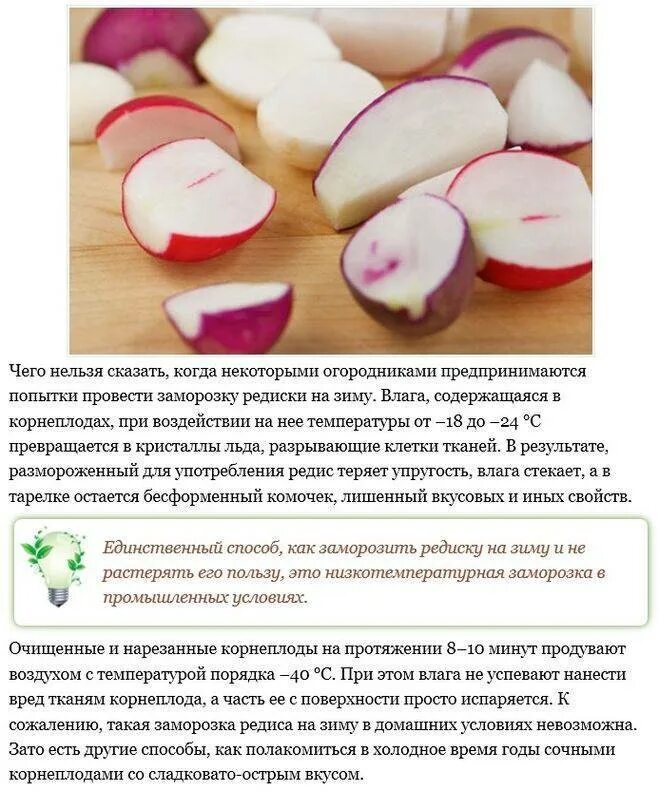 Можно ли замораживать редис на зиму. Заморозка редиски. мороженный редис. заморозка редиски на зиму. редис при геморрое.