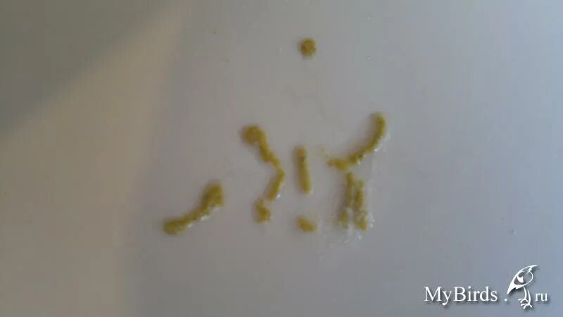 Тонкие редкие волосы. Очень жидко. Очень жидко. Темно коричневый жидкий кал. Прожилки в кале у грудничка.