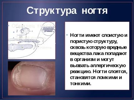 Описание ногтей