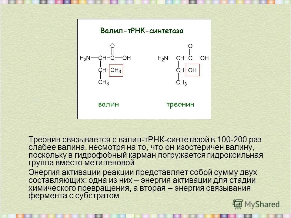 Треонин это