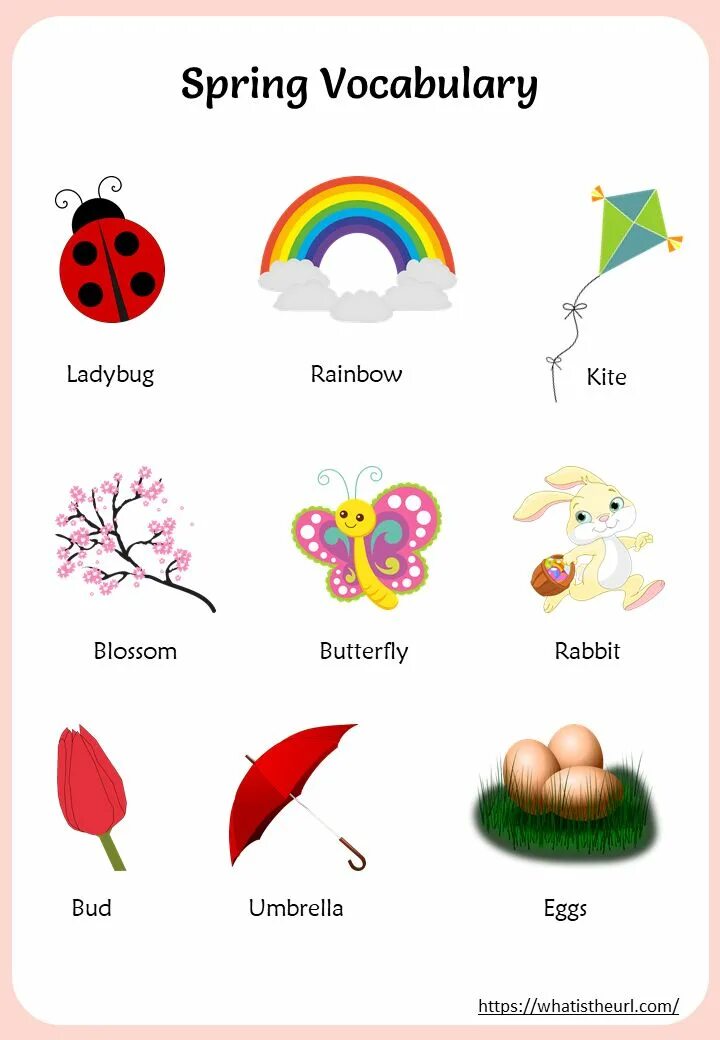 Spring for one. Spring vocabulary.