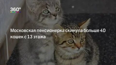 Больше не скину