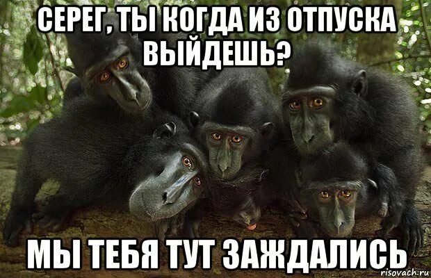 Как давно меня тут не было