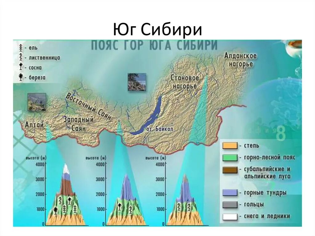 Природные пояса гор урала