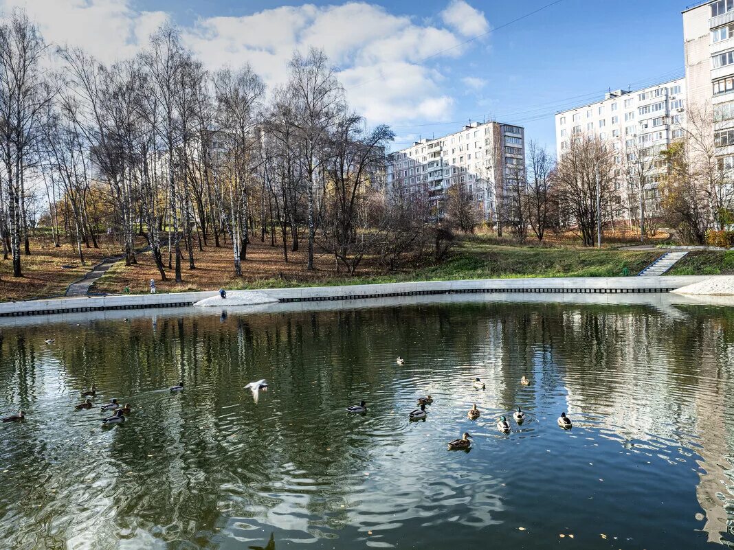 Ясенево пруды. Парк Ясеневские пруды. Ясенево 3 пруда. Москва Ясеневские пруды.