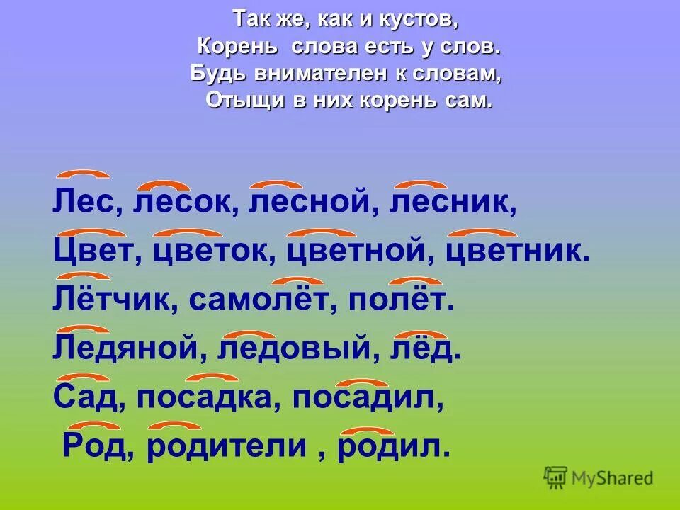 Слова имеют два корня. Слова с корнем сам. Слова с корнем сад. Слова. Родственные слова лес.