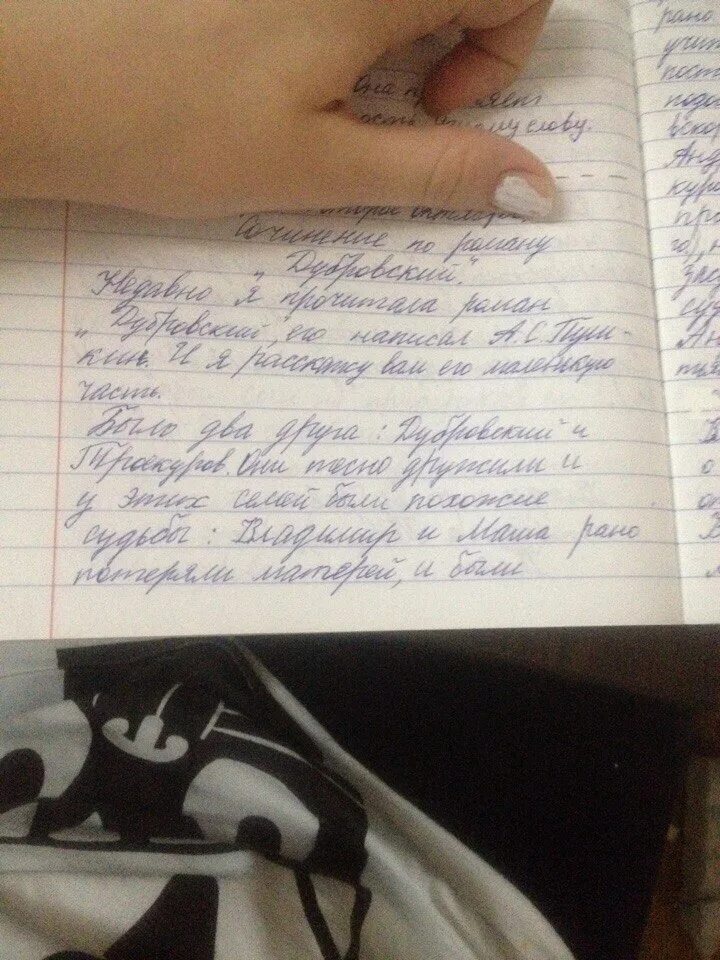 Сочинение рассуждение на тему дубровский по литературе. Сочинение дубровский. сочинение 6 класс. сочинение дубровскава.