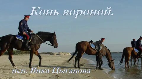 Песня мой конь вороной да ветер