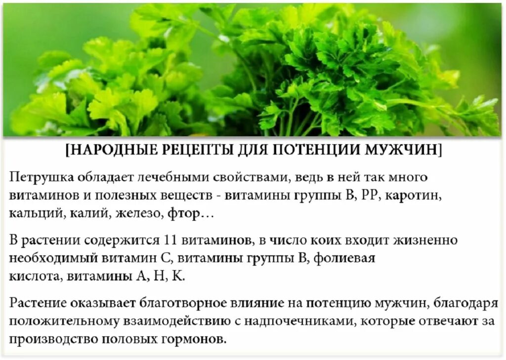 Рецепты повышения потенции. Народные средства для потенции. Народные средства для повышения потенции. Народный средства для мужской потенции.