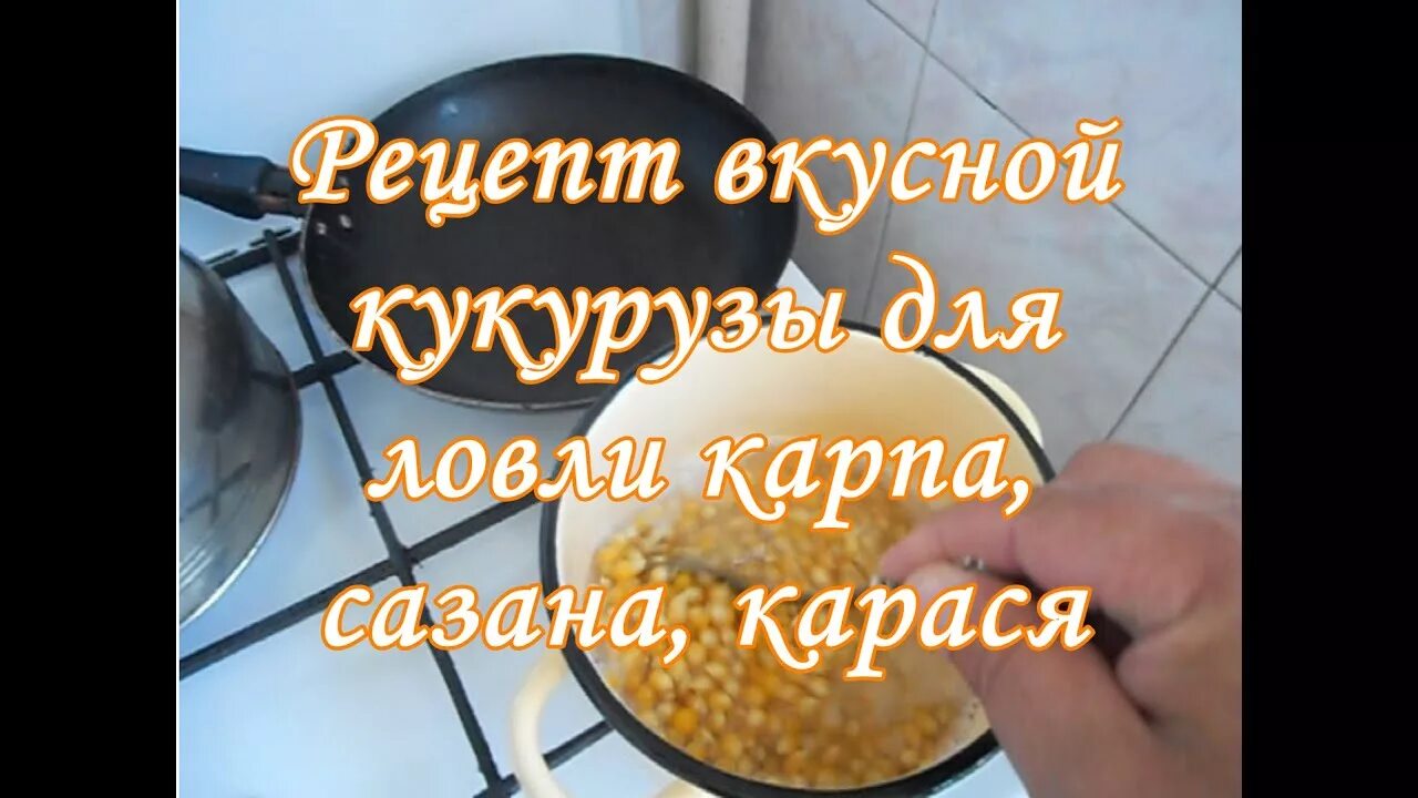 Приготовить кукурузу на карпа. Как варить кукурузу рецепт. тэн для варки кукурузы. ферментированная кукуруза для рыбалки приготовление. как приготовить кукурузу на рыбалку на карпа.