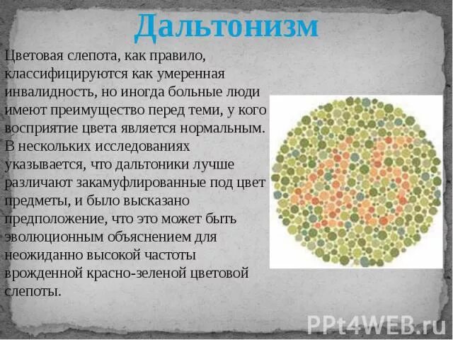 Инфаркт миокарда препарат патанатомия. Инфаркт миокарда алгоритм оказания первой помощи. При остром инфаркте миокарда развивается. Инфаркт миокарда мочекаменная болезнь дальтонизм малярия. Дефекты зрения дальтонизм.