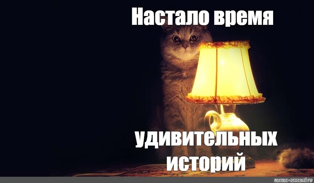 10 удивительных историй. Лампа кот. время историй мем. настало время охуительных историй. котик с лампой.