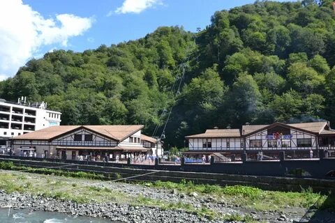 Хоста красная поляна