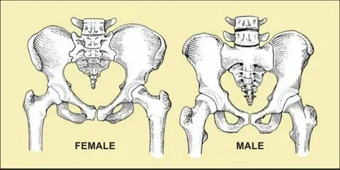 Тихомированың барлық махаббат порно фильмдері