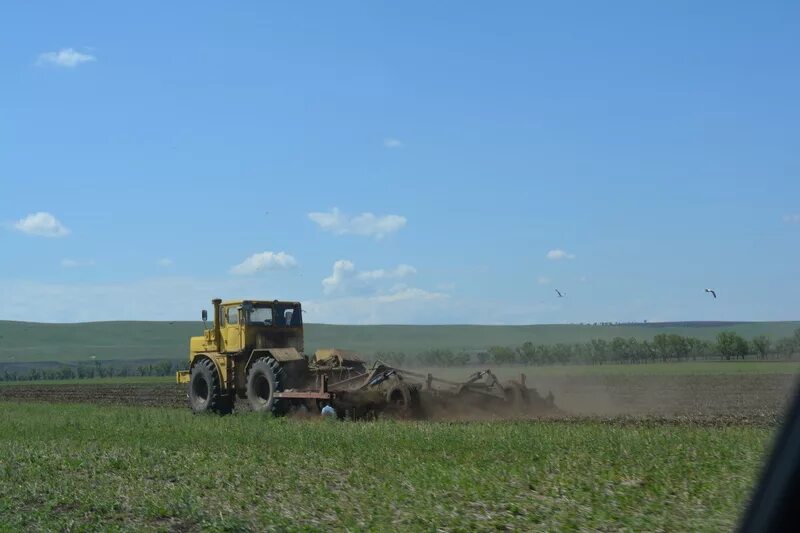 сельское хозяйство хакасии. кфх абакан. районная ассоциация кфх. абаканская фабрика кухня директор. фермерское хозяйство родная сибирь сайт.