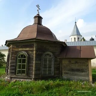 Где зеленец
