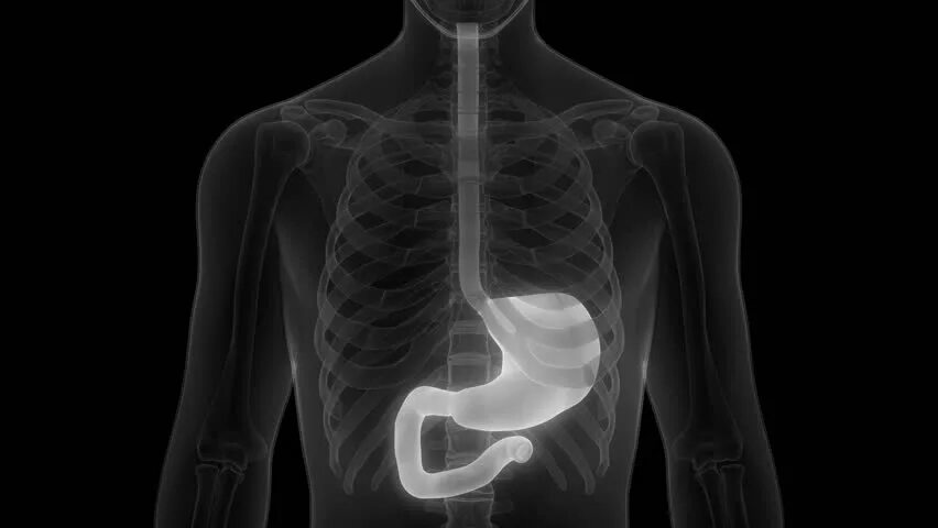 Пищевода с барием. Рентгенография пищевода желудка и ДПК. Рентген исследование желудка с барием. Рентген 12 перстной кишки. Рентген барием желудочно кишечного тракта.