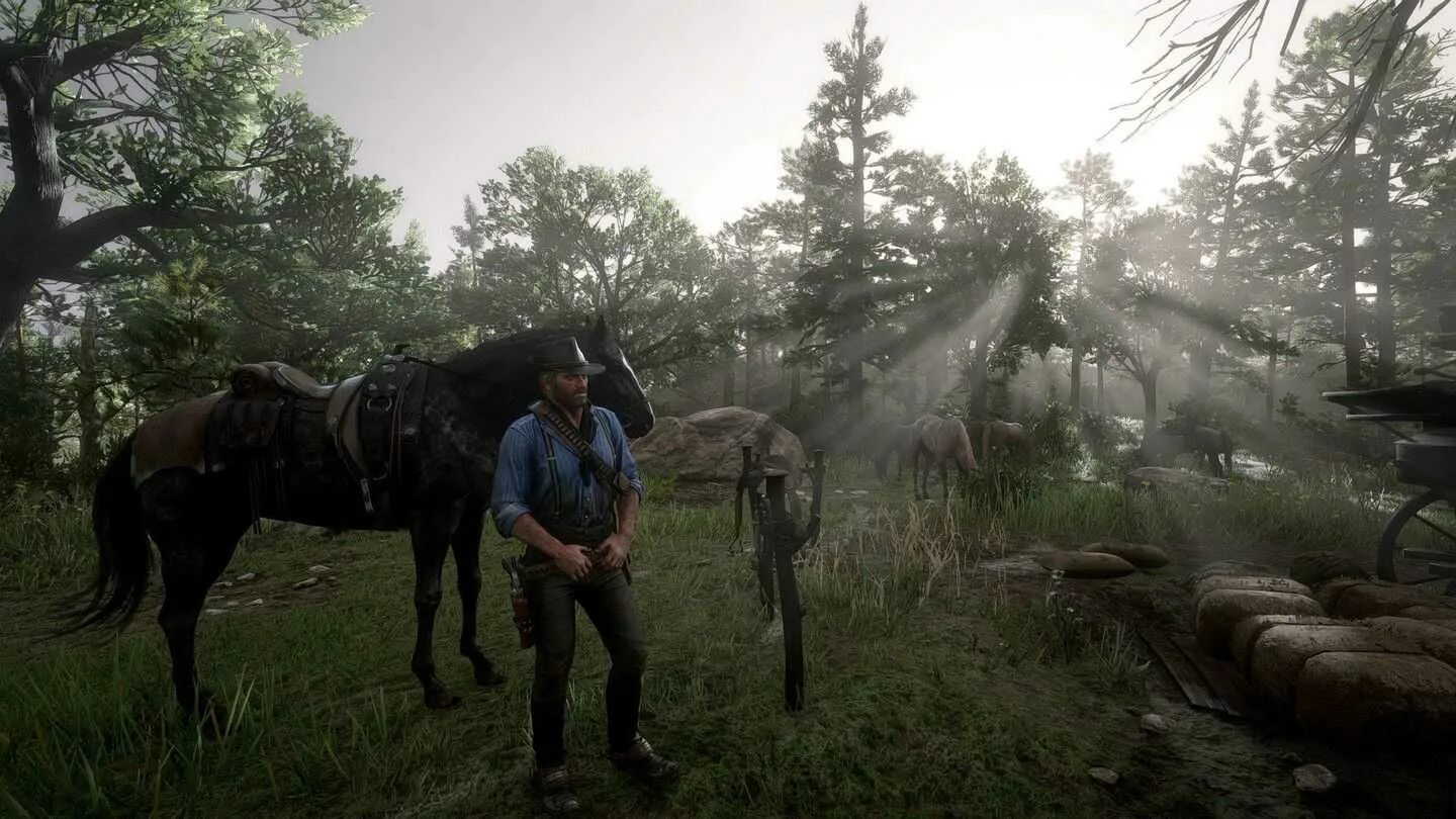 Реден редемпшен 2. Red Dead Redemption. Red Dead Redemption 2 (PC).