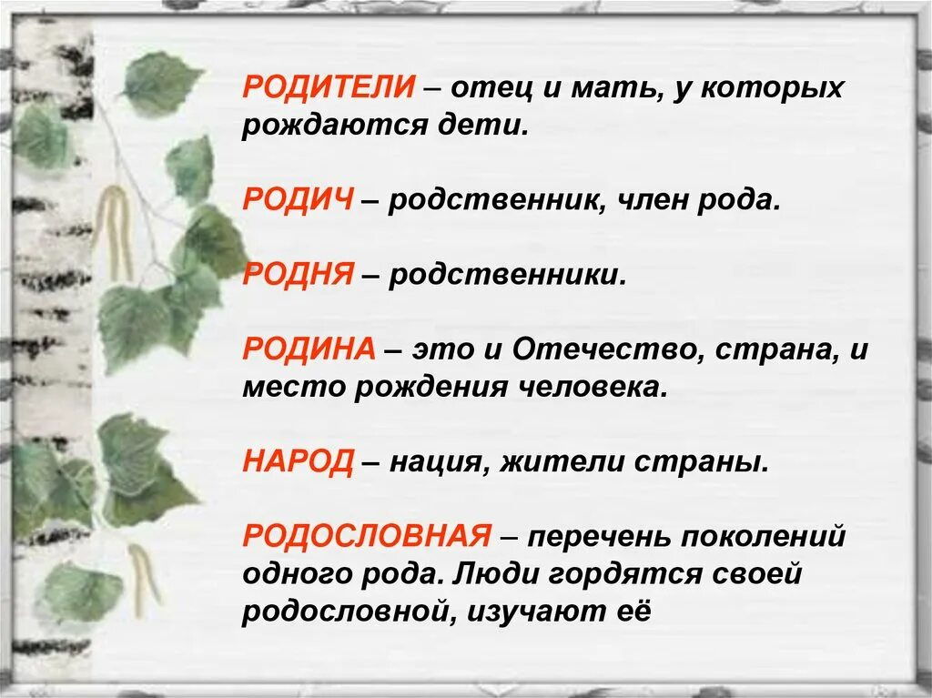 Значение слова родня. Родословная это перечень поколений одного рода. Значение слова Родина. Родина родители родня родословная народ.