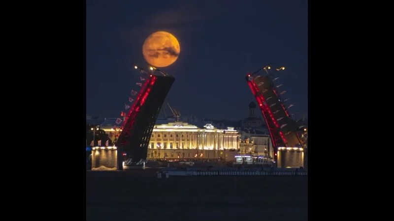 Алые паруса спб. Алые паруса выпускной 2022. Алые паруса 2024 реакция иностранцев. Марафон алые паруса спб. Праздник алые паруса в санкт-петербурге.