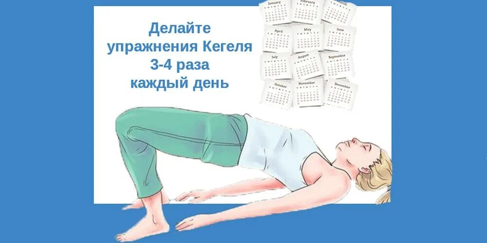 Как выполнять кегеля. Упражнения кегеля. упражнения кегеля для женщин. упражнения по кегелю для женщин. упражнения по кегелю для женщин при недержании.