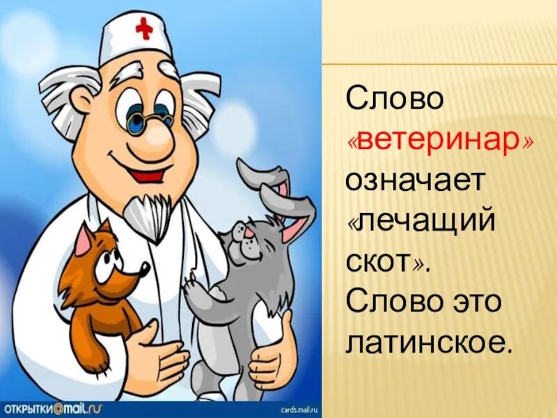 Один день в профессии пожарный ветеринар повар. Ветеринар для детей. Проект профессия ветеринар. Профессия ветеринар презентация. Презентация ветеринар для дошкольников.