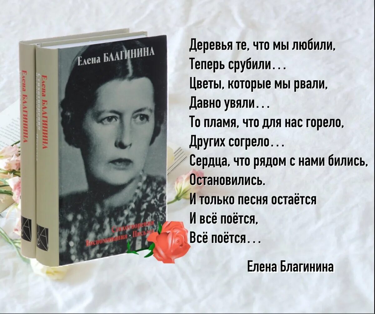 Сборник стихов благининой. Стихотворение Елены Благининой.