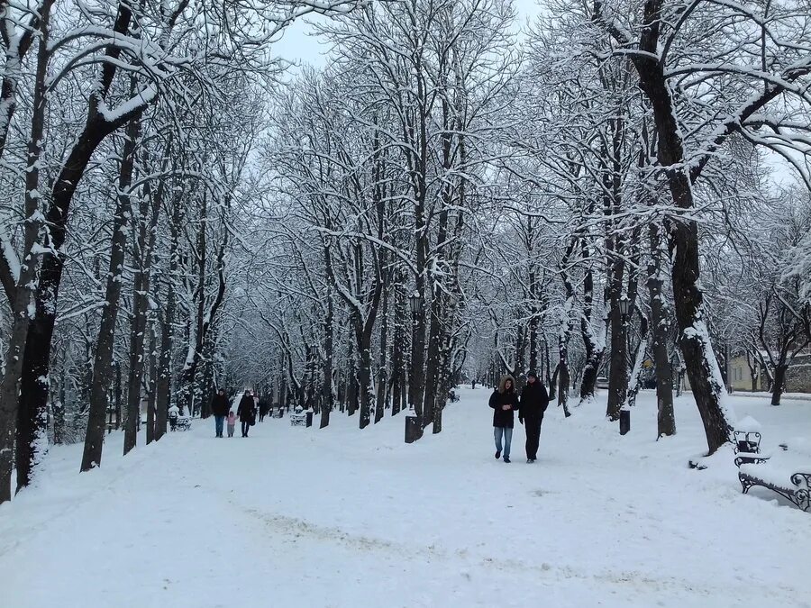 Куда сходить в ставрополе зимой. Ставрополь зимой фото. Куда сходить в ставрополе зимой. Зимний ставрополь александровская площадь. Слон ставрополь.