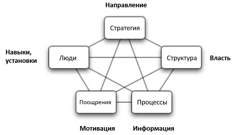 Организационная capability и модель star. Модель менеджера дизайнерской фирмы. Модель star пример. Модель звезды бизнес. Организационная модель "звезда".