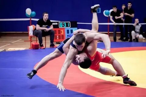 Спортивная борьба дисциплина вольная борьба