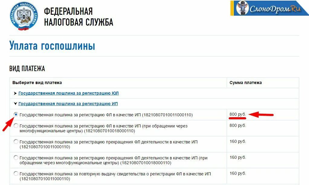 Госпошлина на регистрацию ИП. Оплата госпошлины за открытие ИП. Госпошлина 800 руб за регистрацию ИП. 18210807010011000110 Пошлина.