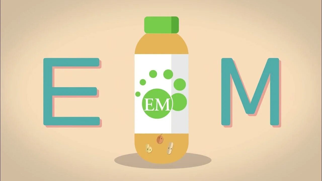 Эффективные микроорганизмы эм-технологии. Эм технологии арго. Э м технологии. Э м технологии. Эм технологии арго.