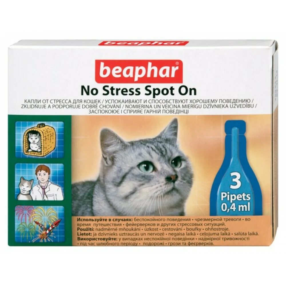 Успокоительное для кошек отзывы. Beaphar no stress для кошек. Успокоительные капли Beaphar для кошек. Капли антистресс для кошек. Антистресс для кошек таблетки.