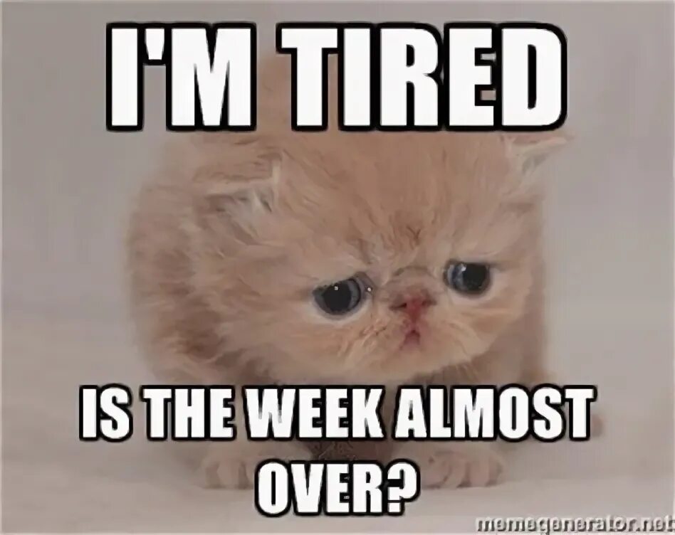 I m tired to go out. Tired meme. im tired meme. so tired мэм. i’m tired фото.