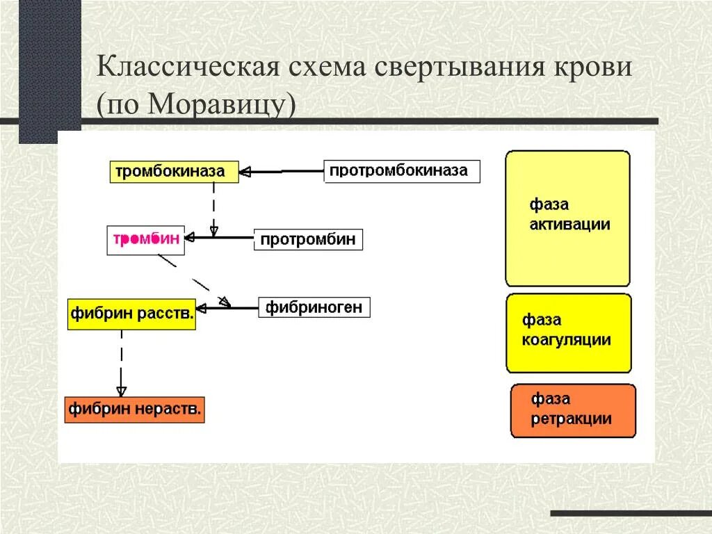 Этапы свертывания крови схема. Схема свертывания крови образование сгустка. Процесс свертывания крови схема. Свертывающая система крови схема.