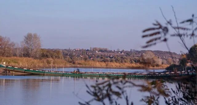 Дон билет каменск ростов