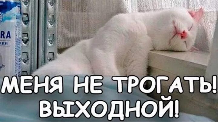 Сегодня отдыхаем. У меня выходной. ура выходные. у меня сегодня выходной. у меня выходной картинки.