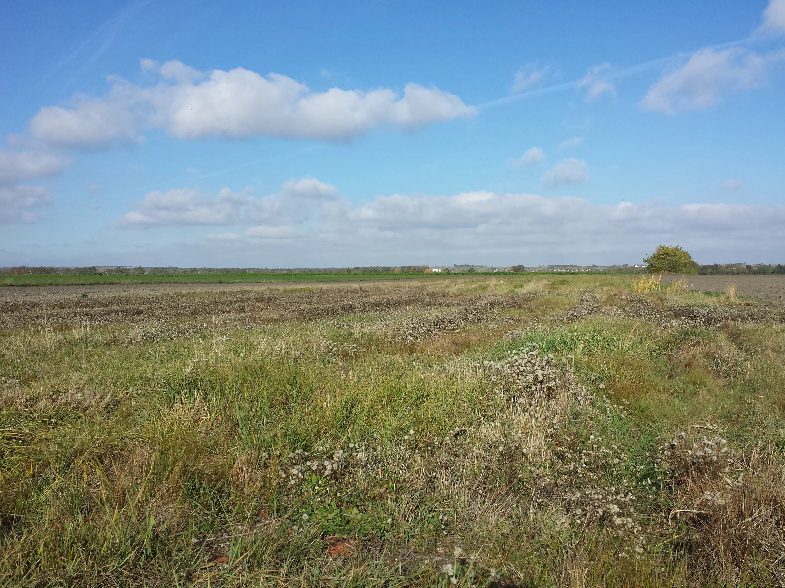 Село Гавронщина Киевская область. Макаровский район (Киевская область). Голенищево (Летичевский район). В Макаровском районе Киевской.