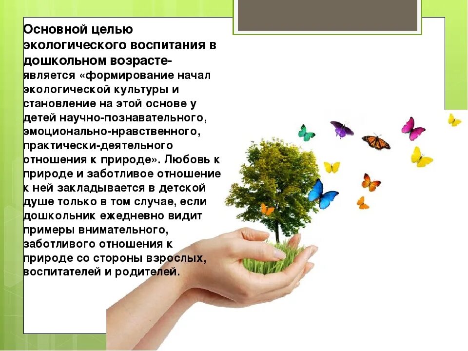 Основы экологического образования дошкольников. Воспитание экологической культуры. Формы работы в детском саду. Содержание экологического воспитания. Научные основы экологического воспитания.