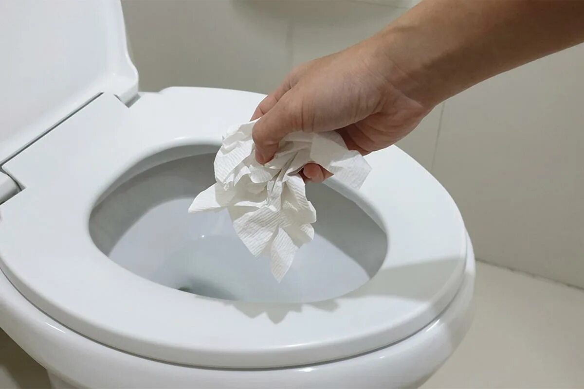 Можно ли смывать в унитаз туалетную бумагу. Унитаз. Салфетки для унитаза. Круглый унитаз.