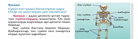 Үлкен кеуде және кең жамбаспен жалаңаш