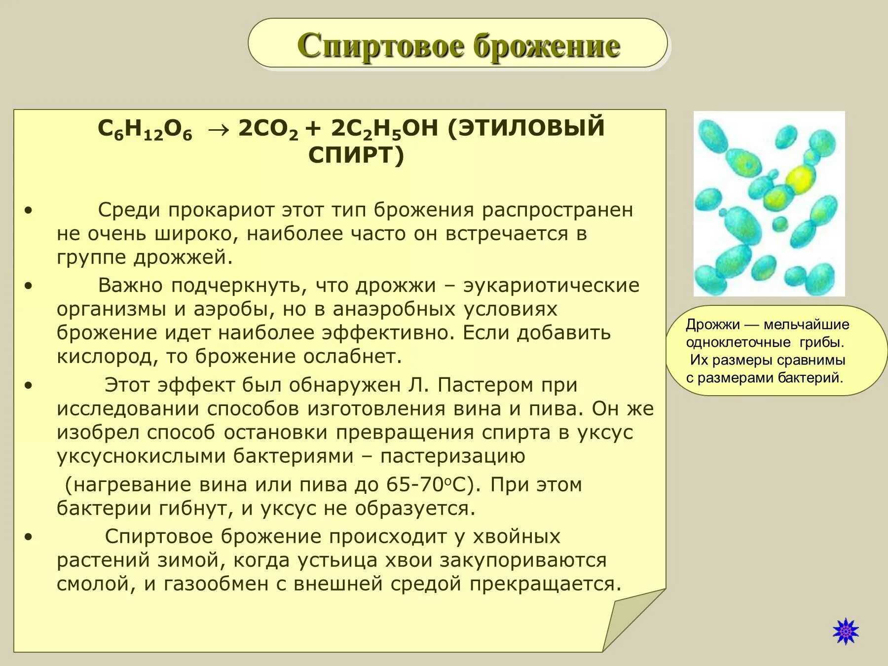 Брожение глицерина. Продукты реакции спиртового брожения глюкозы. Брожение глюкозы общая формула. Процесс брожения химическая реакция. Спиртовое брожение.
