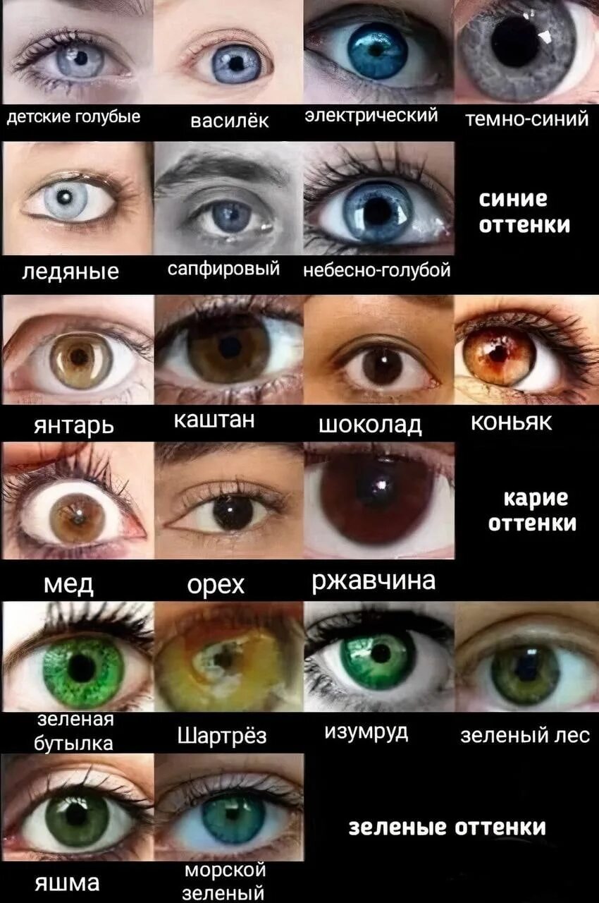 BROWN EYES, i'm chocolate i think? or nut brown Popurri Inspiración para escribi