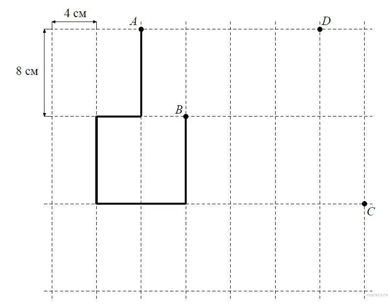 Лист бумаги расчерчен на прямоугольнике со сторонами. Лист бумаги расчерчен на прямоугольники со сторонами 4. Лист расчерчен на прямоугольники со сторонами. Лист бумаги расчерчен на прямоугольники со сторонами 8 см и 4 см. Задача лист расчерчен на прямоугольники.