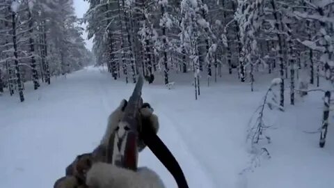 Путник 86 последнее видео