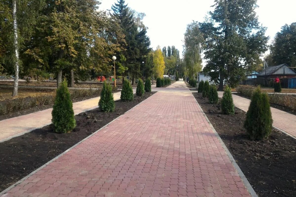 Погода в волово липецкая область гисметео. Парк победы волово липецкой области. воловский район липецкая сквер. парк село волово липецкая. чернава липецкая область парк.