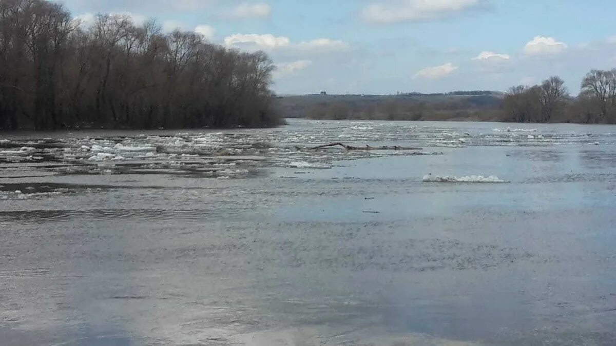 Температура воды в реке дон в ростове. Разлив реки Дон в Воронежской области. Паводок Дон Воронеж. Разлив на Дону 2022 Воронежская область. Разлив Дона Воронежской области.