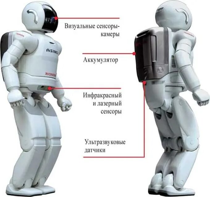 Части робота. Строение робота. СИЗ чего состоит робот. Из чего состоит робот.