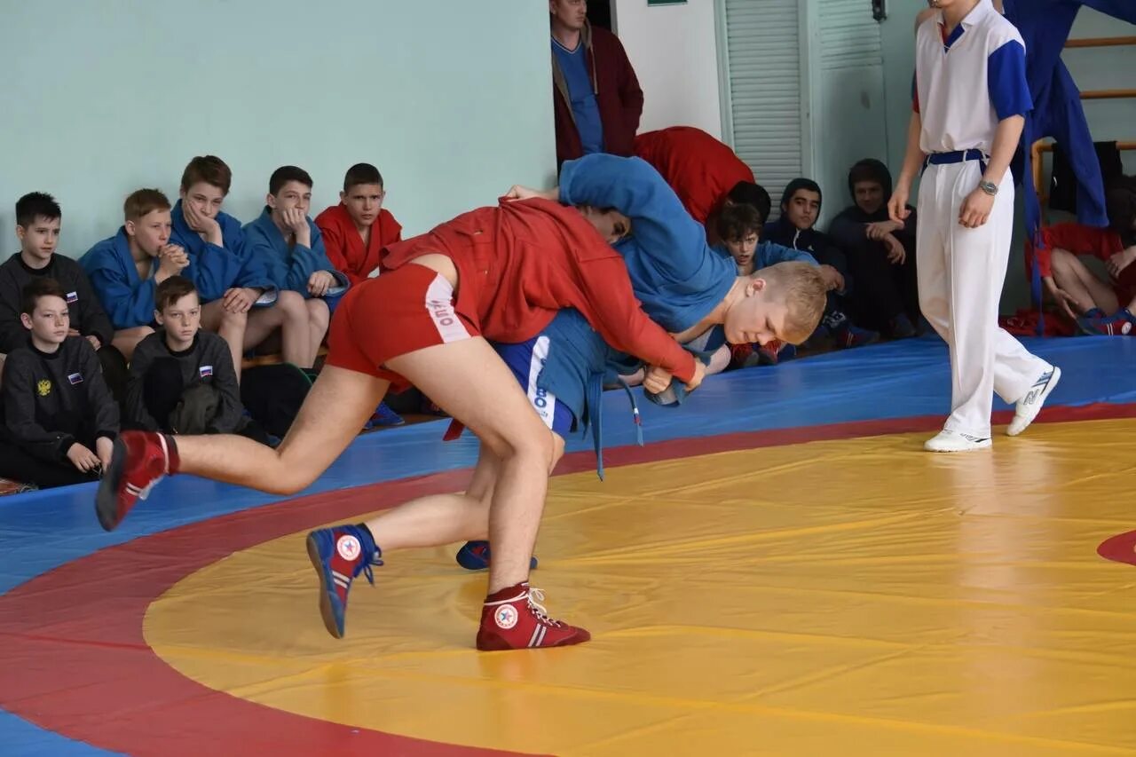 Дюсш русь. Кафе в северской. Самбо северск. Русь северск. Русь северск.